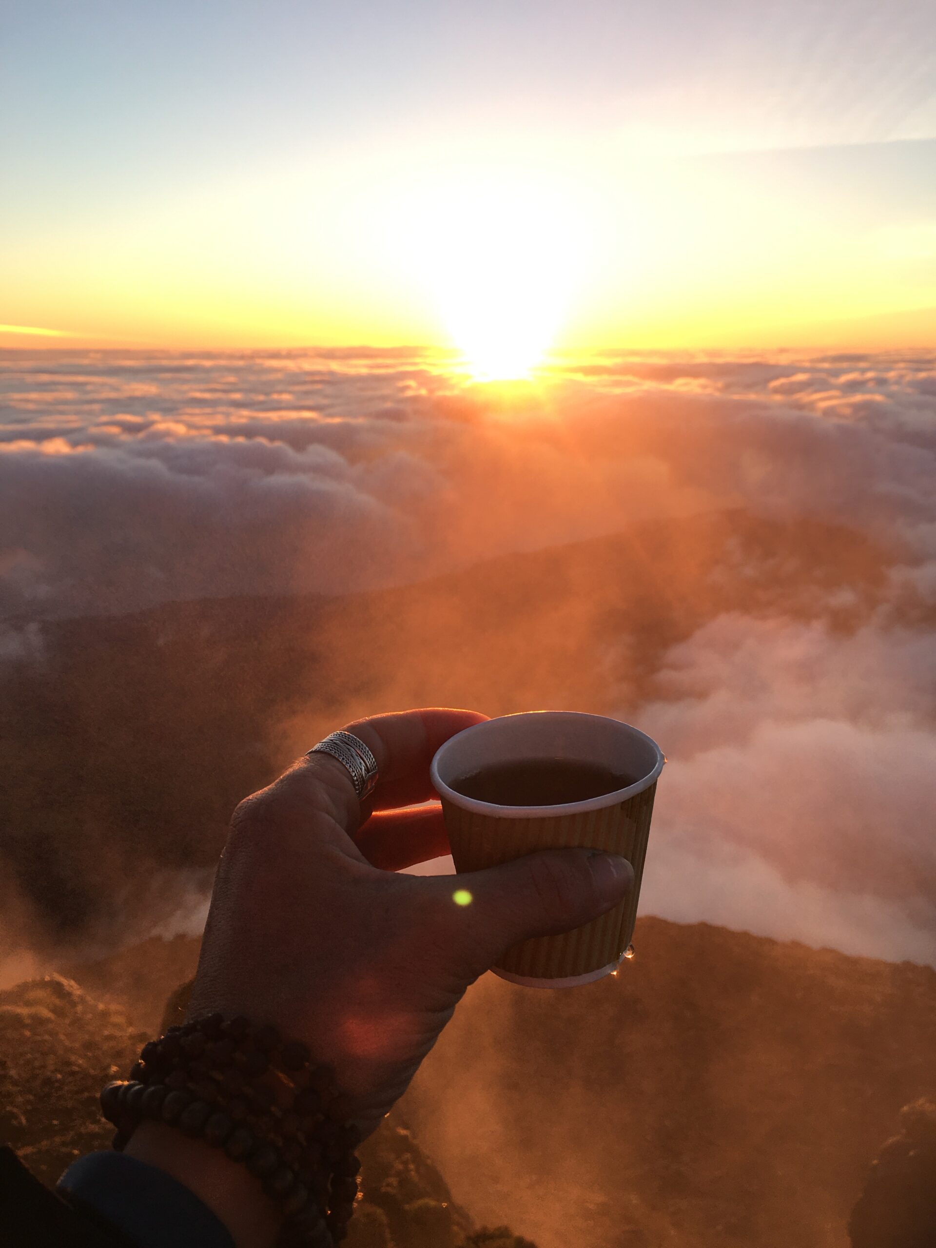 48299083-2513-4608-A8F0-0853FCE91B91