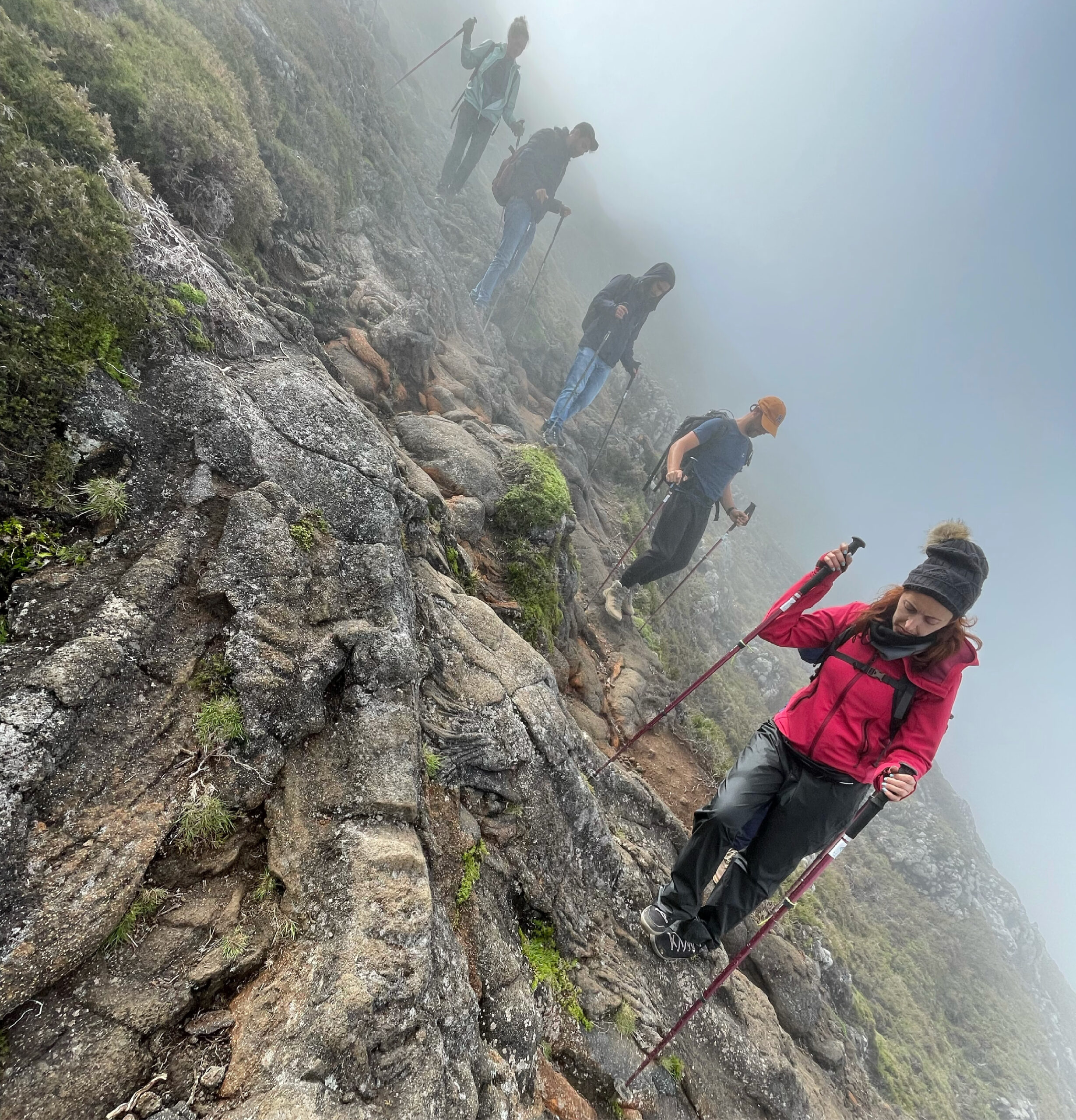 898EE240-31B9-44E2-8B72-47C668DA54CD